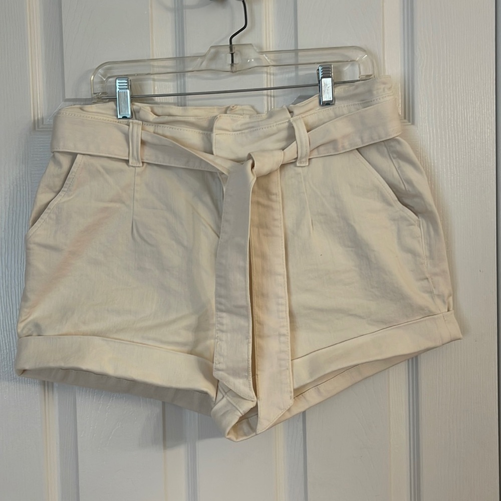 Never Worn New w/o tags Express Shorts